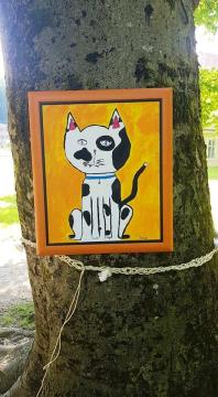 199630441_251137783443081_6975127344514672646_n