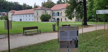 242821929_2059117310896189_4277855495389757753_n