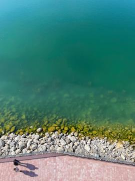 249005782_4554330567990974_1590387032450398847_n