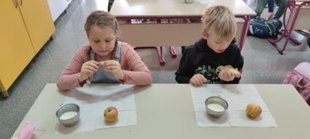 258708421_863422021007082_5344182348584047885_n