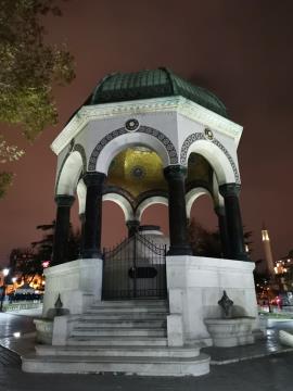 257579679_414558816964818_4051575929440712068_n