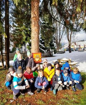 262478890_321107436552099_6454337859585222376_n