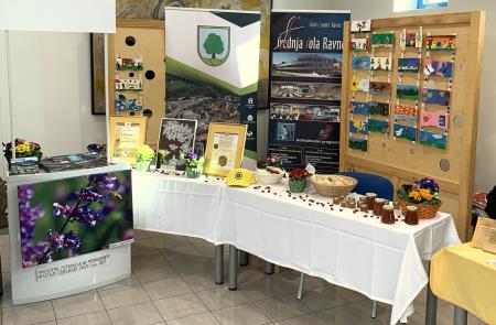 275807169_409205594343337_6036724967470340402_n