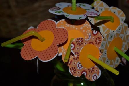 2855_1490615639_17390649_1857361167877963_4953031928161702004_o