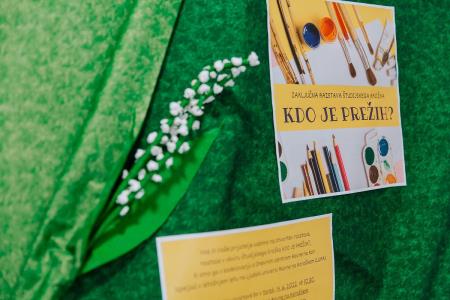 288235038_1089106775018103_8456442801605595164_n