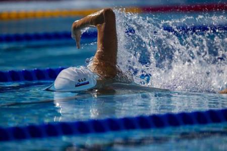 4c455de070abc43e7221-saso-boskan