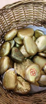 307102080_1695964180775052_1013585110381406977_n