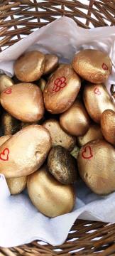 307063466_1593202237762350_2414921172004617541_n