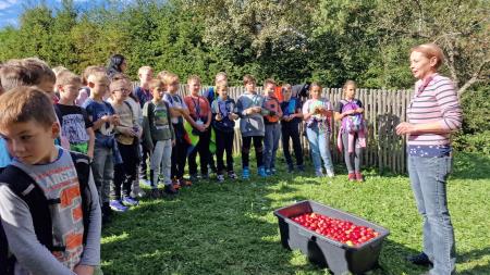 310454353_810030866967345_8033688497097280145_n