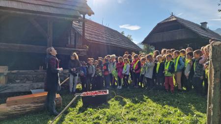 310461120_810030370300728_7227552480836603787_n