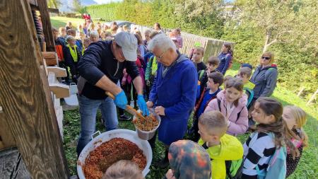 310550288_810030716967360_9127695685960306534_n