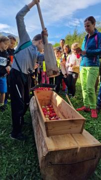 310596533_810030326967399_3424077079684691312_n