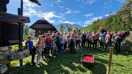 310823915_810030816967350_1296041948832712669_n