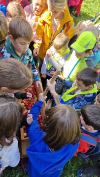 310442503_810030563634042_2662168552284805382_n