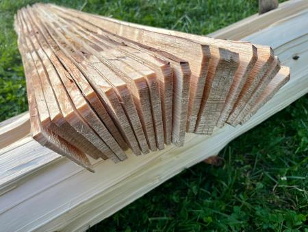 311035597_602833901691785_1848218866264612731_n