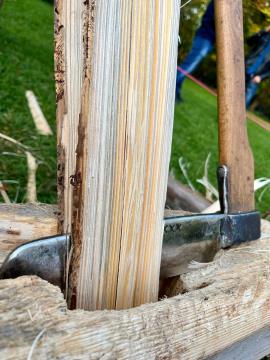 311434154_602834008358441_419099439839231530_n