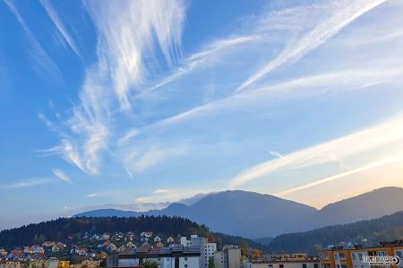 311490686_10229021271578812_7754481301452716061_n