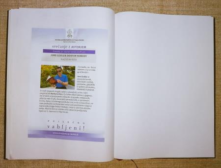 312185706_10162097815260558_8358038338755331999_n