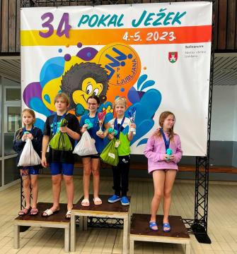 Pokal Ježek