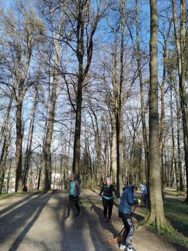 Z grabljami in metlo po poteh Grajskega parka