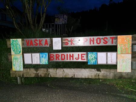 Solzice na Brdinjah