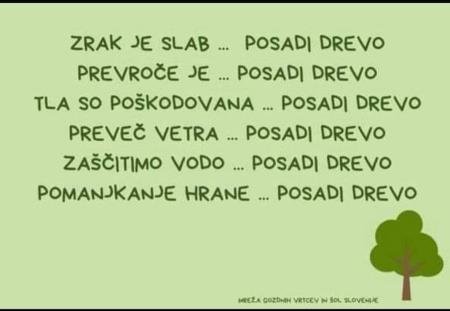 Avgustovsko »Razigrano ravensko poletje«