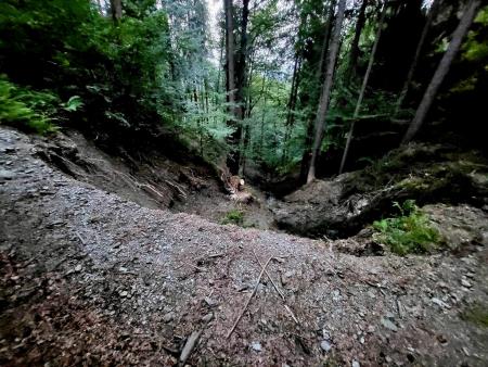 Navodila za prijavo škode