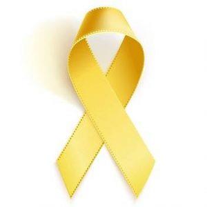 371422103_690746009754142_4106741168063914730_n