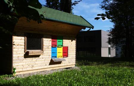 3Šolski čebelnjak SŠ Ravne 