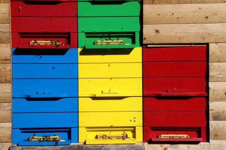 5Šolski čebelnjak SŠ Ravne