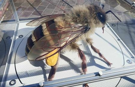 377272204_322553550436035_5871674466702617237_n