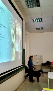 original-85CEF516-5671-4E4F-B74C-22C0DC29D7EC