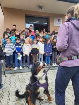 »Ker sem tvoj, počisti za menoj«