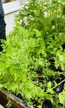 Učenje na prostem na OŠ Prežihovega Voranca