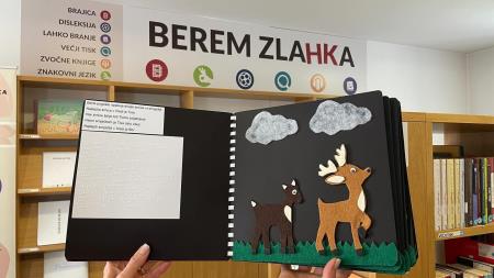 Pridobitev v zbirki Berem zlahka 