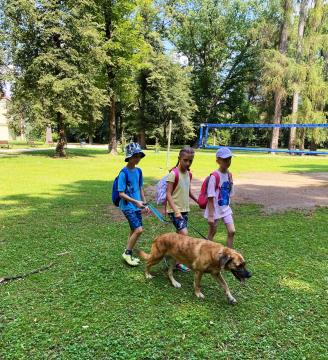 Razgibano ravensko poletje