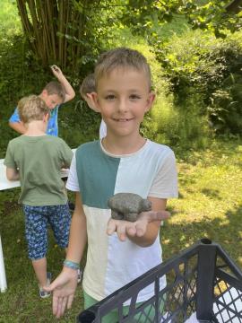 Razgibano ravensko poletje