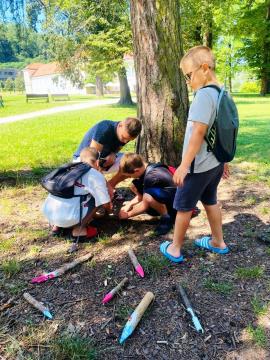 Pod krošnjami dreves v Grajskem parku