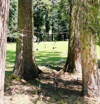 Pod krošnjami dreves v Grajskem parku