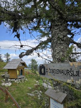 Mednarodna mladinska izmenjava Erasmsu+ - Ravne na Koroškem, julij 2024