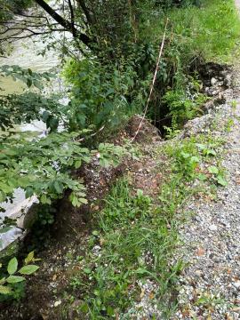 Poziv za prijavo škode