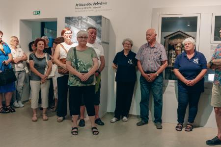 Čebele v klekljani podobi