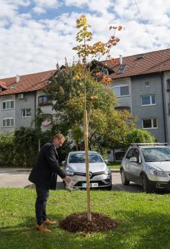 Ljudska univerza Ravne obeležuje 65 let delovanja