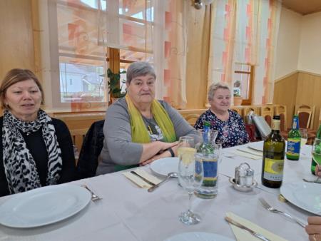 Srečanje članov programa Starejši za starejše z županom