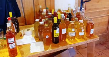 Ocenjevanje moštov, sokov, kisov, žganih pijač in likerjev