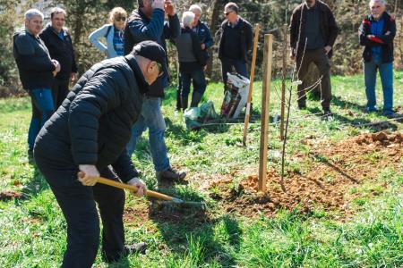 Obrezovanje sadnega drevja ob Prežihovi bajti – ohranjanje kulturne in sadjarske dediščine
