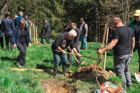 Obrezovanje sadnega drevja ob Prežihovi bajti – ohranjanje kulturne in sadjarske dediščine