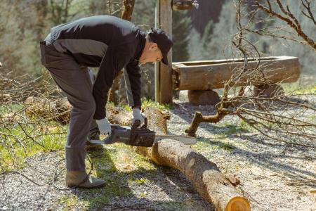 Obrezovanje sadnega drevja ob Prežihovi bajti – ohranjanje kulturne in sadjarske dediščine