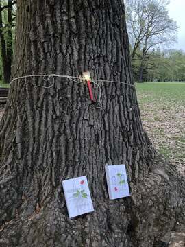 Noč knjige v Grajskem parku – To noč vas čakajo knjige