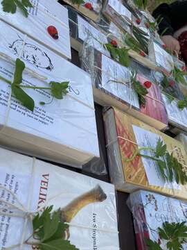 Noč knjige v Grajskem parku – To noč vas čakajo knjige